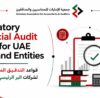Financial Audit Rules