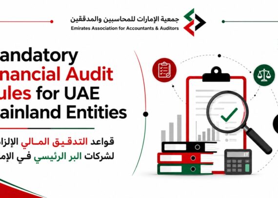 Financial Audit Rules