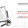 9 نصائح أساسية للتدقيق للشركات الصغيرة في دولة الإمارات