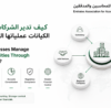 كيف تدير الشركات متعددة الكيانات عملياتها المحاسبية؟