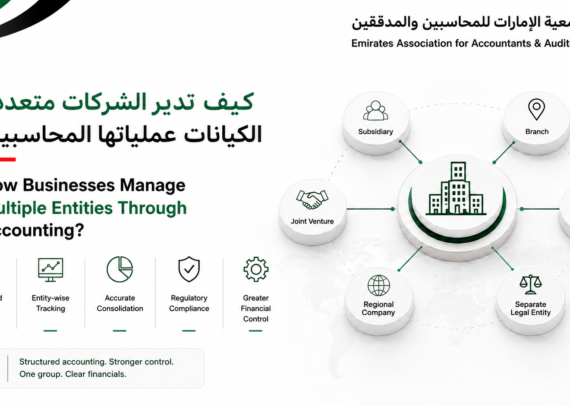 كيف تدير الشركات متعددة الكيانات عملياتها المحاسبية؟